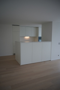 MFH - Waldschulweg 15 - Erweiterung DG, Strang- und Fassadensanierung- Zürich